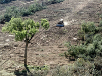 Por una Ley de Ordenamiento Territorial