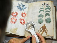 El misterioso manuscrito Voynich