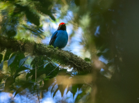 ¿Estamos a tiempo de repensar la naturaleza?