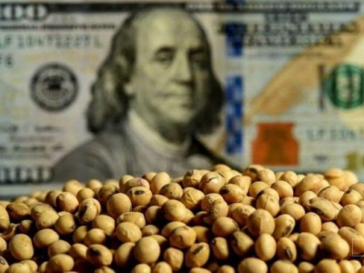 Retenciones cero: la jugada que benefició a siete y dejó afuera a miles